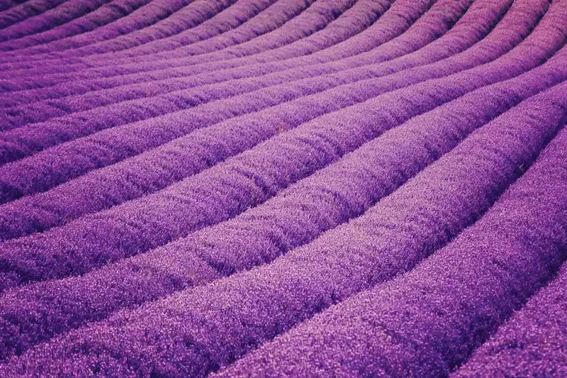 wanderlust tips choang ngop truoc 20 diem den ruc ro sac mau tren gioi 5