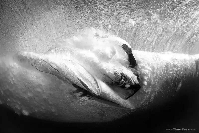 wanderlust tips chum anh tuong ve song bien bi nhung cung day mong mo 18