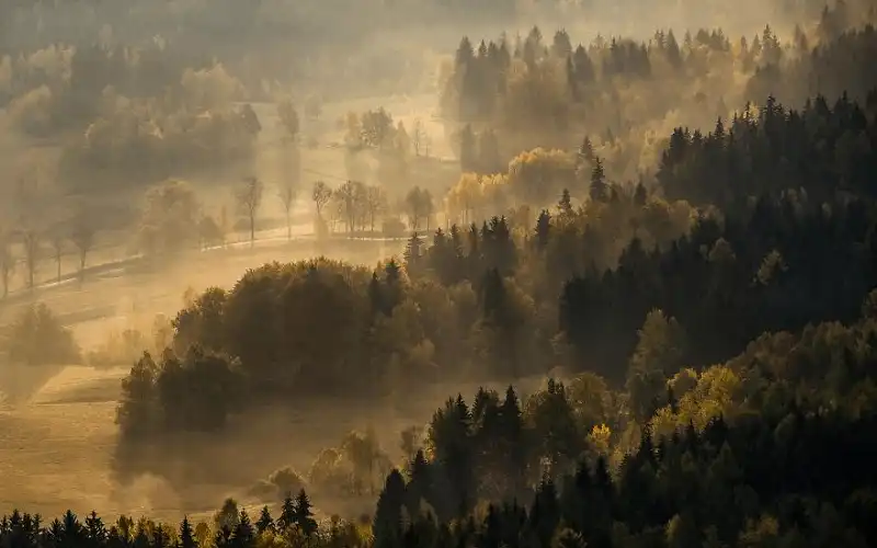 wanderlust tips dam say ve dep nao long cua ba lan khi thu ve 3