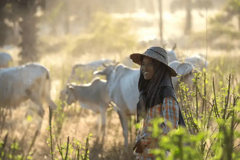 wanderlust tips dam say ve dep yen binh cua bagan 15