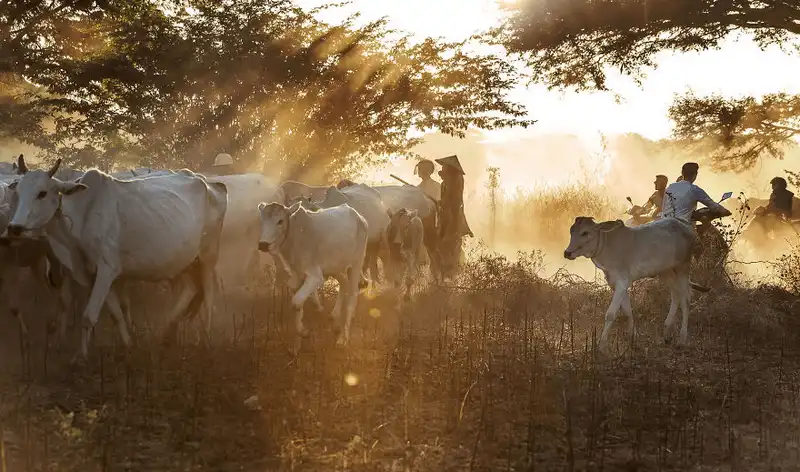 wanderlust tips dam say ve dep yen binh cua bagan 17