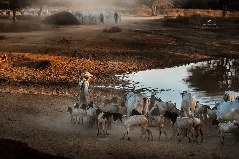 wanderlust tips dam say ve dep yen binh cua bagan 18