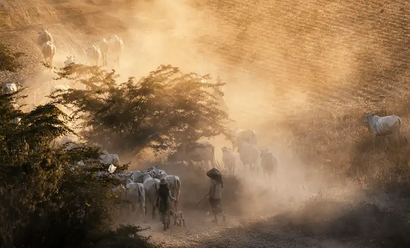 wanderlust tips dam say ve dep yen binh cua bagan 7