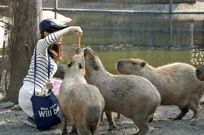 wanderlust tips gioi thieu 11 khu vui choi nghi duong hap dan tai dai loan 17