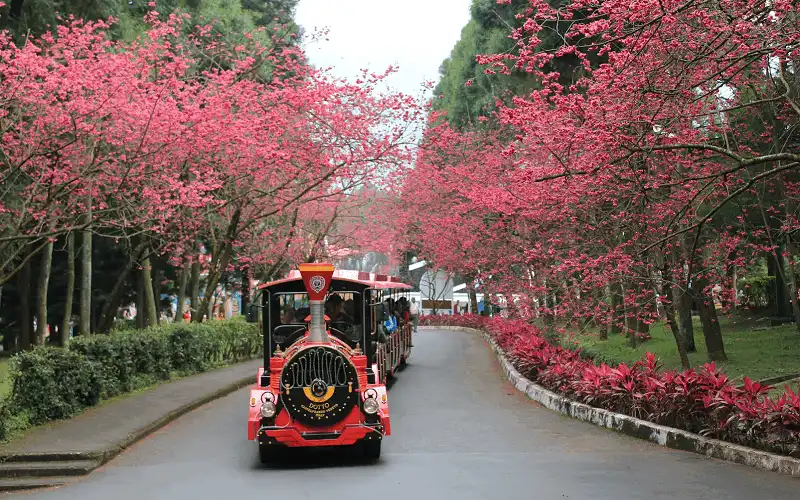 wanderlust tips hoi nghi giao luu toa dam ve khu vui choi nghi duong tai dai loan 0