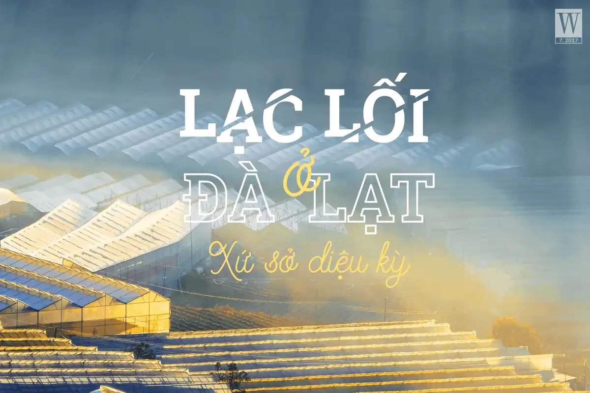 wanderlust tips lac loi o da lat 2
