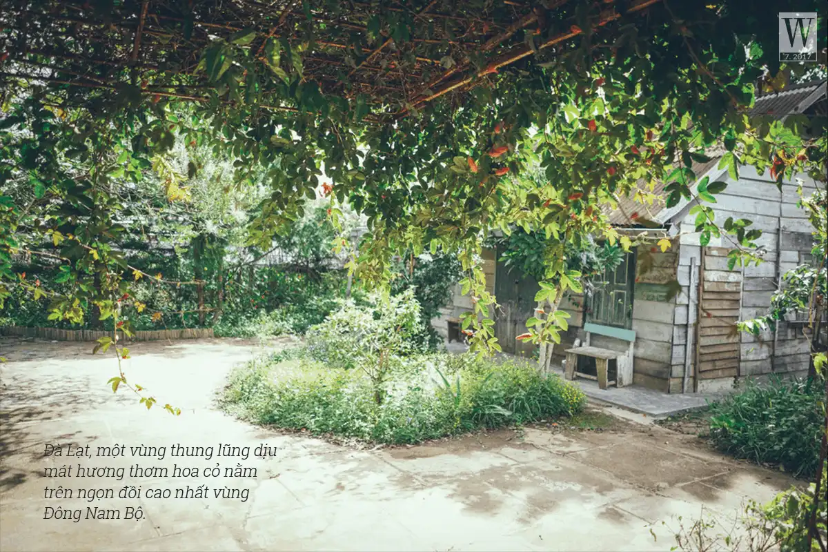 Lạc lối ở Đà Lạt - Xứ sở diệu kỳ 6 wanderlust tips lac loi o da lat 3