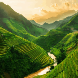 wanderlust tips lao cai cong bo app du lich sa pa 1 1