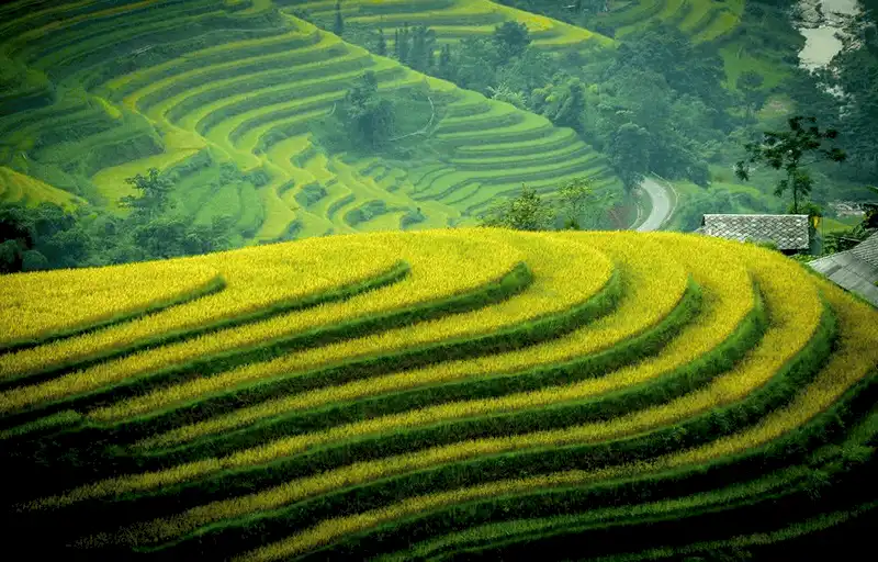 wanderlust tips mua vang hoang su phi den hen lai len 3