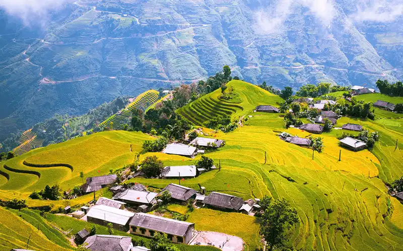 wanderlust tips mua vang hoang su phi den hen lai len 4