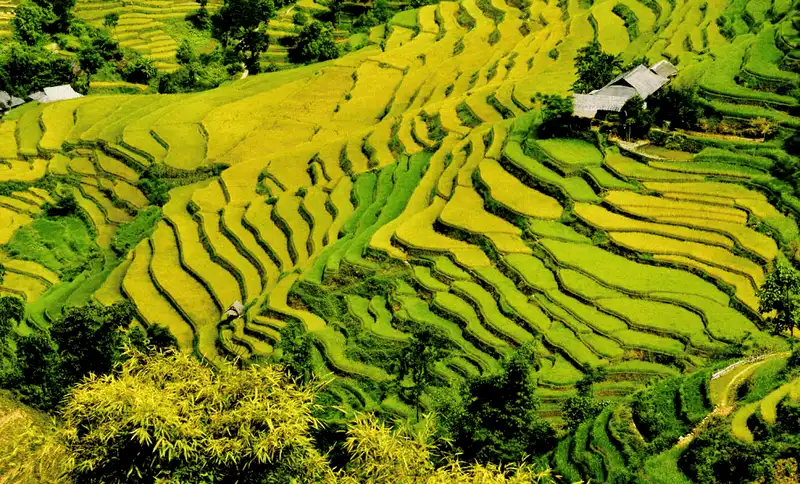 wanderlust tips mua vang hoang su phi den hen lai len 7