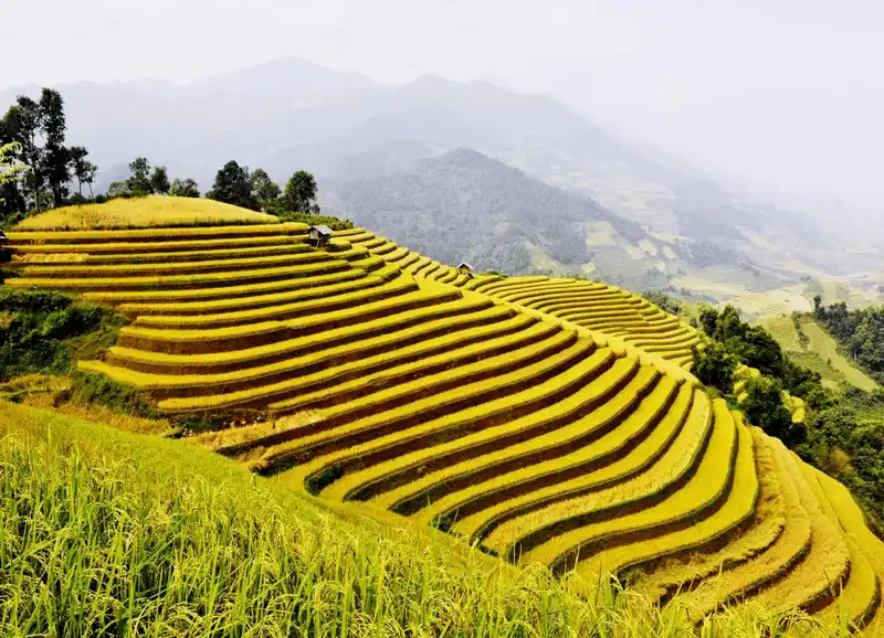 wanderlust tips mua vang hoang su phi den hen lai len 9