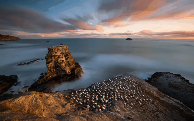 New Zealand đẹp đến nao lòng qua ống kính nhiếp ảnh gia người Anh 16 wanderlust tips ngan ngo truoc ve dep den nao long cua thien nhien new zealand 11