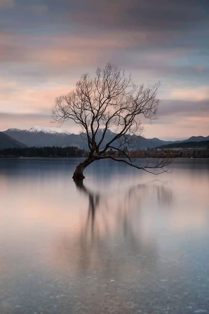 New Zealand đẹp đến nao lòng qua ống kính nhiếp ảnh gia người Anh 10 wanderlust tips ngan ngo truoc ve dep den nao long cua thien nhien new zealand 4