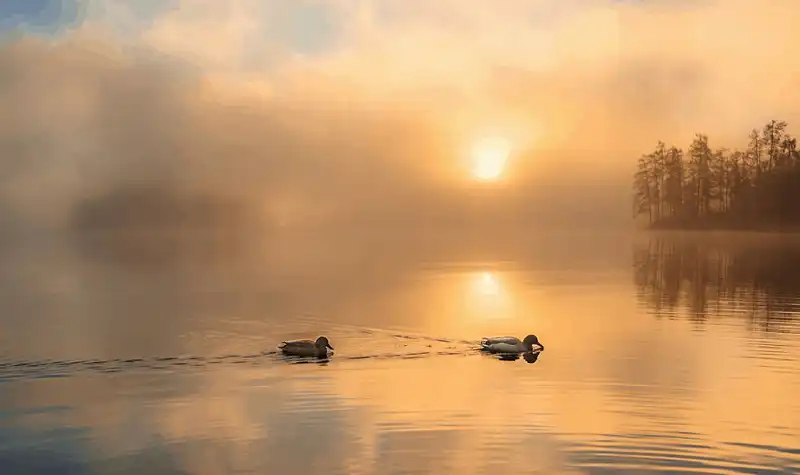 wanderlust tips ngan ngo truoc ve dep huyen ao cua ho bled o slovenia 15