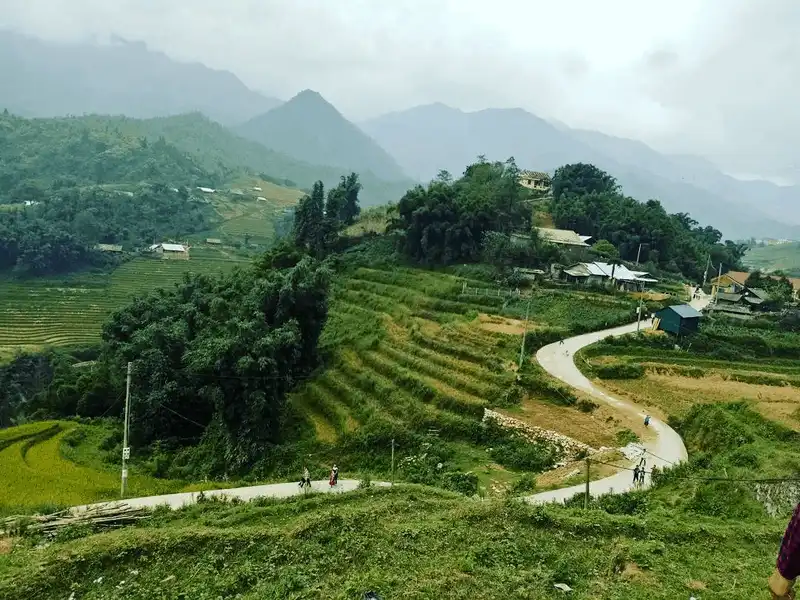 Chiêm ngưỡng vẻ nên thơ của cánh đồng hoa hồng ri ở Sa Pa 13 wanderlust tips ngay ngay truoc canh dong hoa hong ri o sa pa 10