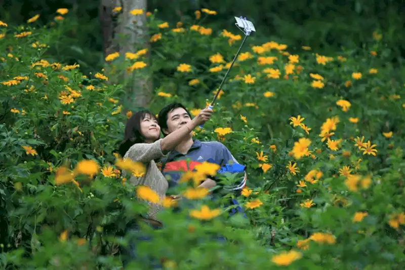 wanderlust tips ngay ngay truoc canh dong hoa hong ri o sa pa 2 1