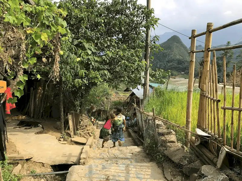 Chiêm ngưỡng vẻ nên thơ của cánh đồng hoa hồng ri ở Sa Pa 11 wanderlust tips ngay ngay truoc canh dong hoa hong ri o sa pa 5
