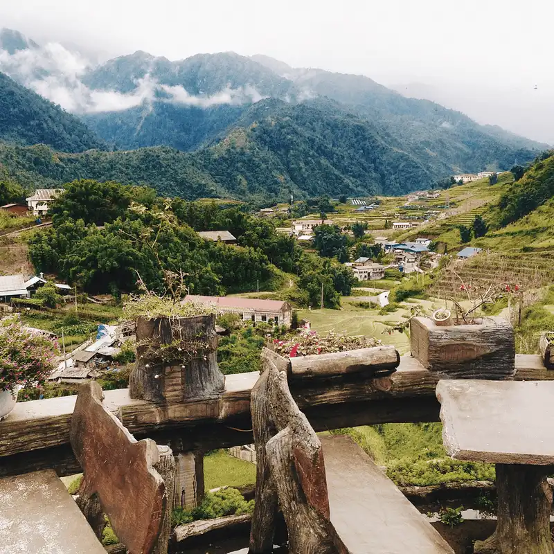 Chiêm ngưỡng vẻ nên thơ của cánh đồng hoa hồng ri ở Sa Pa 5 wanderlust tips ngay ngay truoc canh dong hoa hong ri o sa pa 7