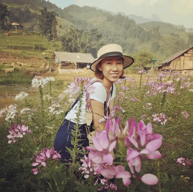Chiêm ngưỡng vẻ nên thơ của cánh đồng hoa hồng ri ở Sa Pa 8 wanderlust tips ngay ngay truoc canh dong hoa hong ri o sa pa 8