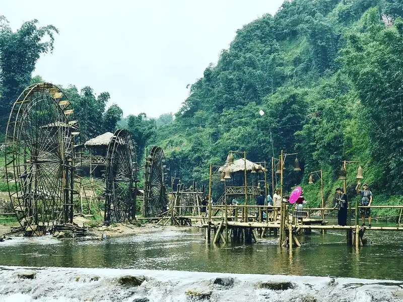 Chiêm ngưỡng vẻ nên thơ của cánh đồng hoa hồng ri ở Sa Pa 12 wanderlust tips ngay ngay truoc canh dong hoa hong ri o sa pa 9