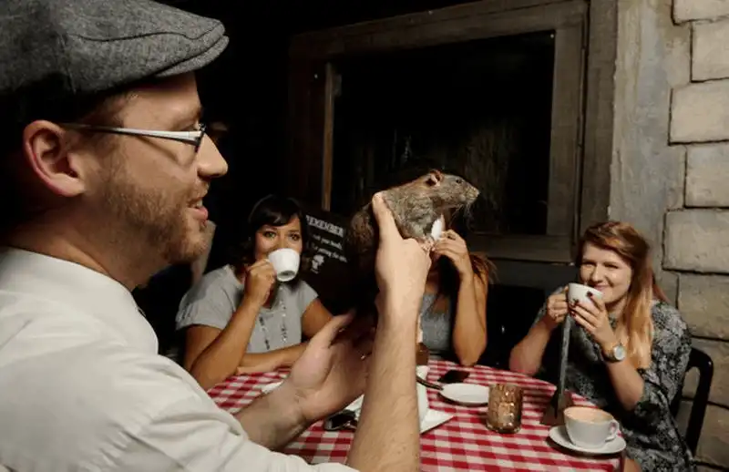 wanderlust tips quan ca phe chuot noi khien nhung vi khach yeu tim phai khoc thet 2