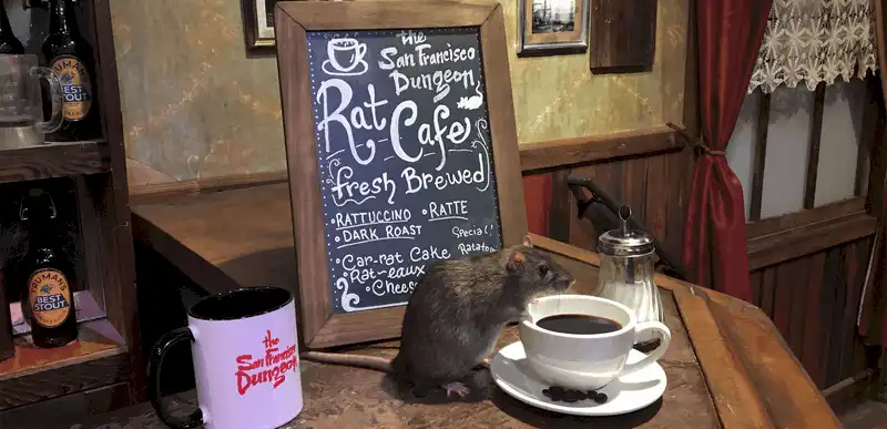 wanderlust tips quan ca phe chuot noi khien nhung vi khach yeu tim phai khoc thet 4