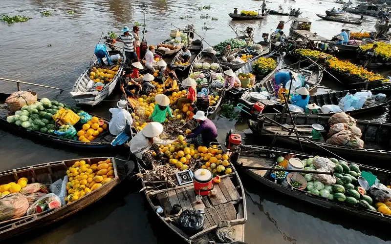 Sắp diễn ra Ngày hội du lịch sinh thái Phong Điền - Cần Thơ 2017 5 wanderlust tips sap dien ra ngay hoi du lich sinh thai phong dien can tho 2017 1
