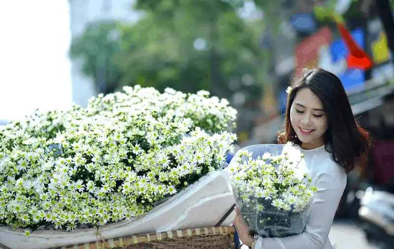 wanderlust tips thang 10 11 cho don nhung mua hoa tuyet dep tren khap moi mien dat nuoc 2