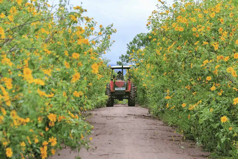 wanderlust tips thang 10 11 cho don nhung mua hoa tuyet dep tren khap moi mien dat nuoc 5