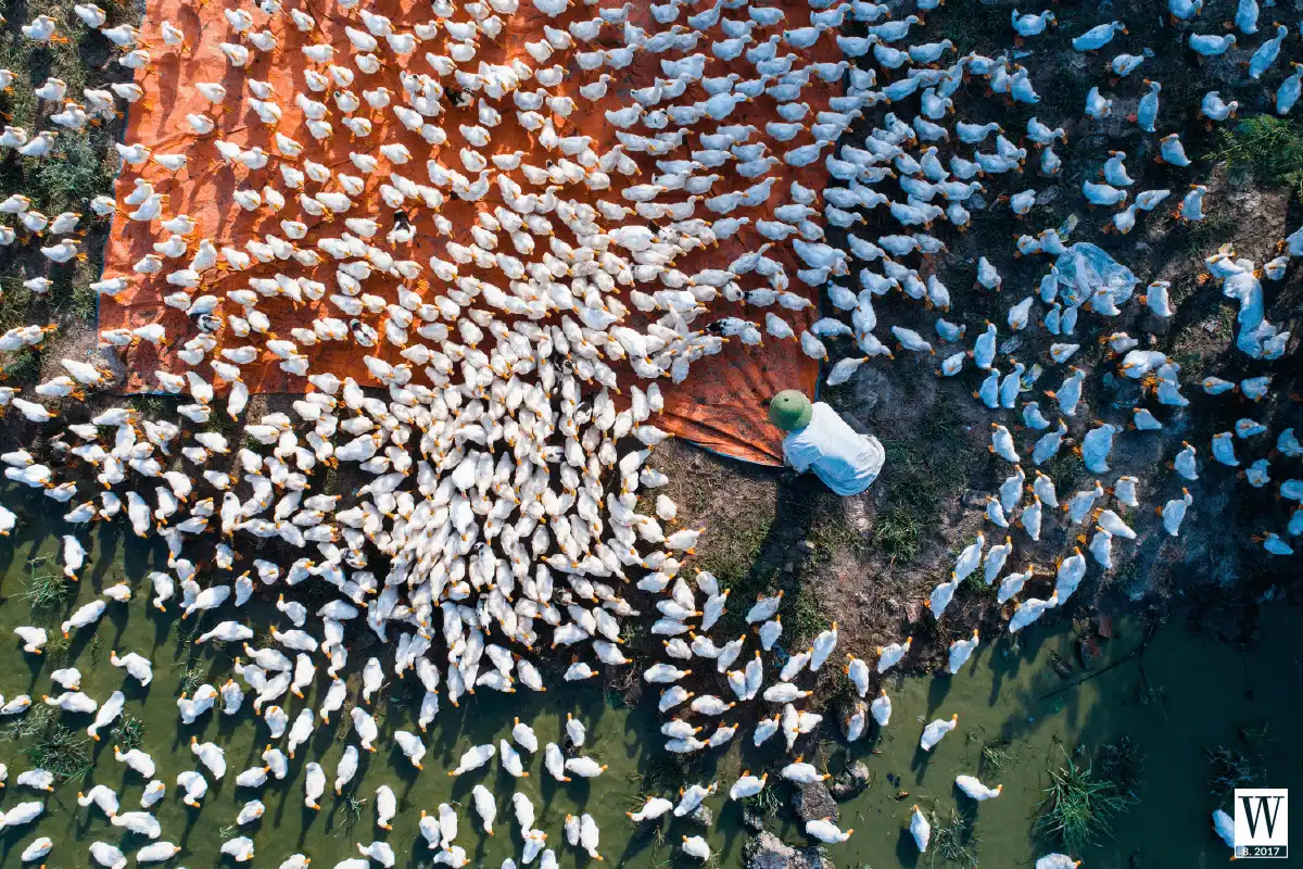 wanderlust tips tim nhung thu phi thuong trong nhung dieu binh thuong 2