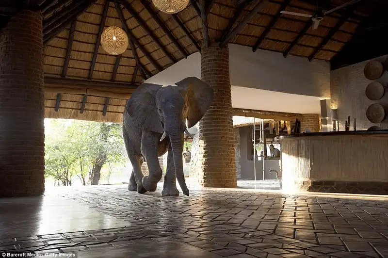 wanderlust tips viet nam la 1 trong 10 diem den mua thu tuyet voi nhat nam 2017 7