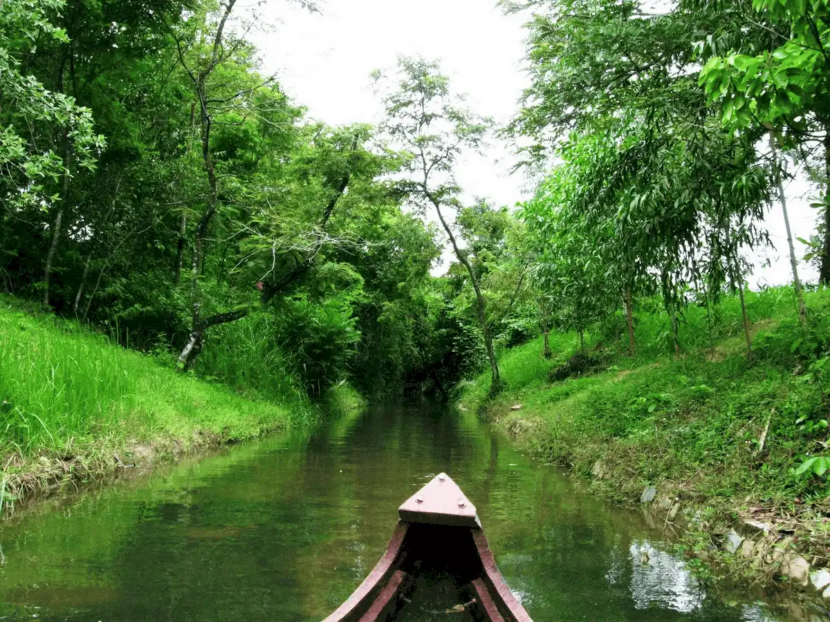 8 điểm du lịch Bình Định không thể bỏ qua vào buổi sáng 10 wanderlustly 8 diem du lich Binh Dinh khong the bo qua vao buoi sang7 1