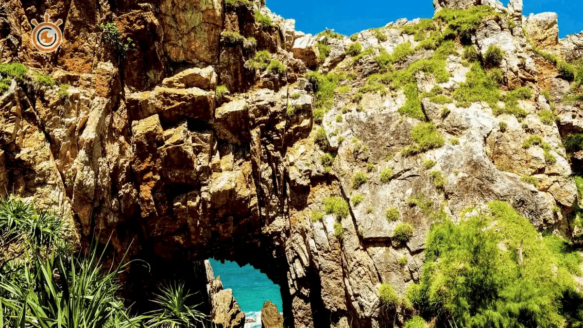 8 điểm du lịch Bình Định không thể bỏ qua vào buổi sáng 9 wanderlustly 8 diem du lich Binh Dinh khong the bo qua vao buoi sang8 1