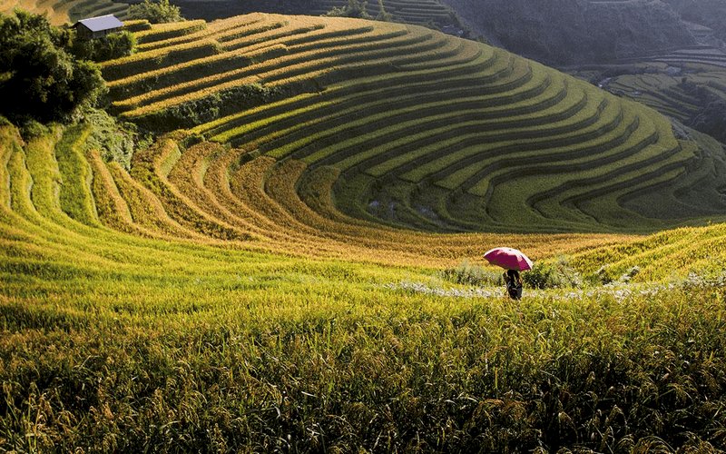 wanderlust tips Viet Nam lot vao top 20 quoc ia dep nhat the gioi 11 1