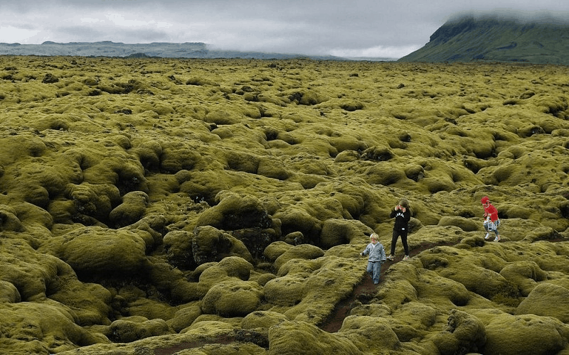 Cánh đồng dung nham Eldraun - vẻ đẹp lạ kì ở xứ sở Iceland 5 wanderlust tips canh dong dung nham eldraun ve dep la ki o xu iceland 7