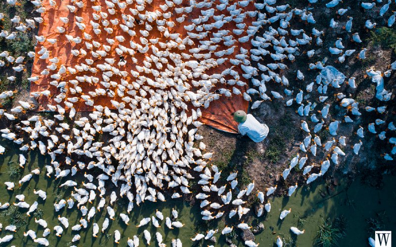 Nhiếp ảnh gia Trần Tuấn Việt: “Tìm những thứ phi thường trong những điều bình thường” Nhiếp ảnh gia Trần Tuấn Việt: “Tìm những thứ phi thường trong những điều bình thường”