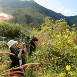 wanderlust tips cho don le hoi hoa da quy chu dang ya 2017