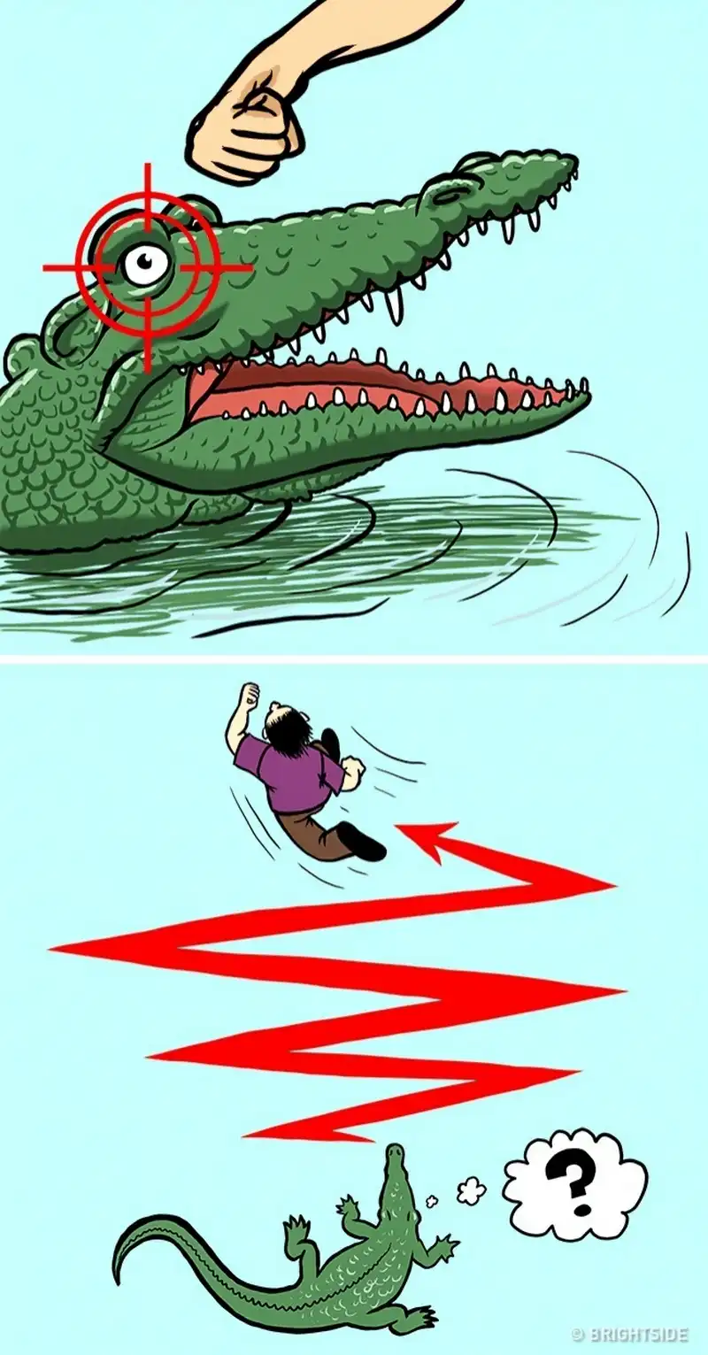 wanderlust tips 12 cach giup ban song sot khi doi mat voi dong vat nguy hiem 10