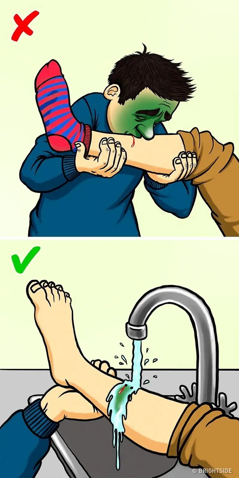 wanderlust tips 12 cach giup ban song sot khi doi mat voi dong vat nguy hiem 11