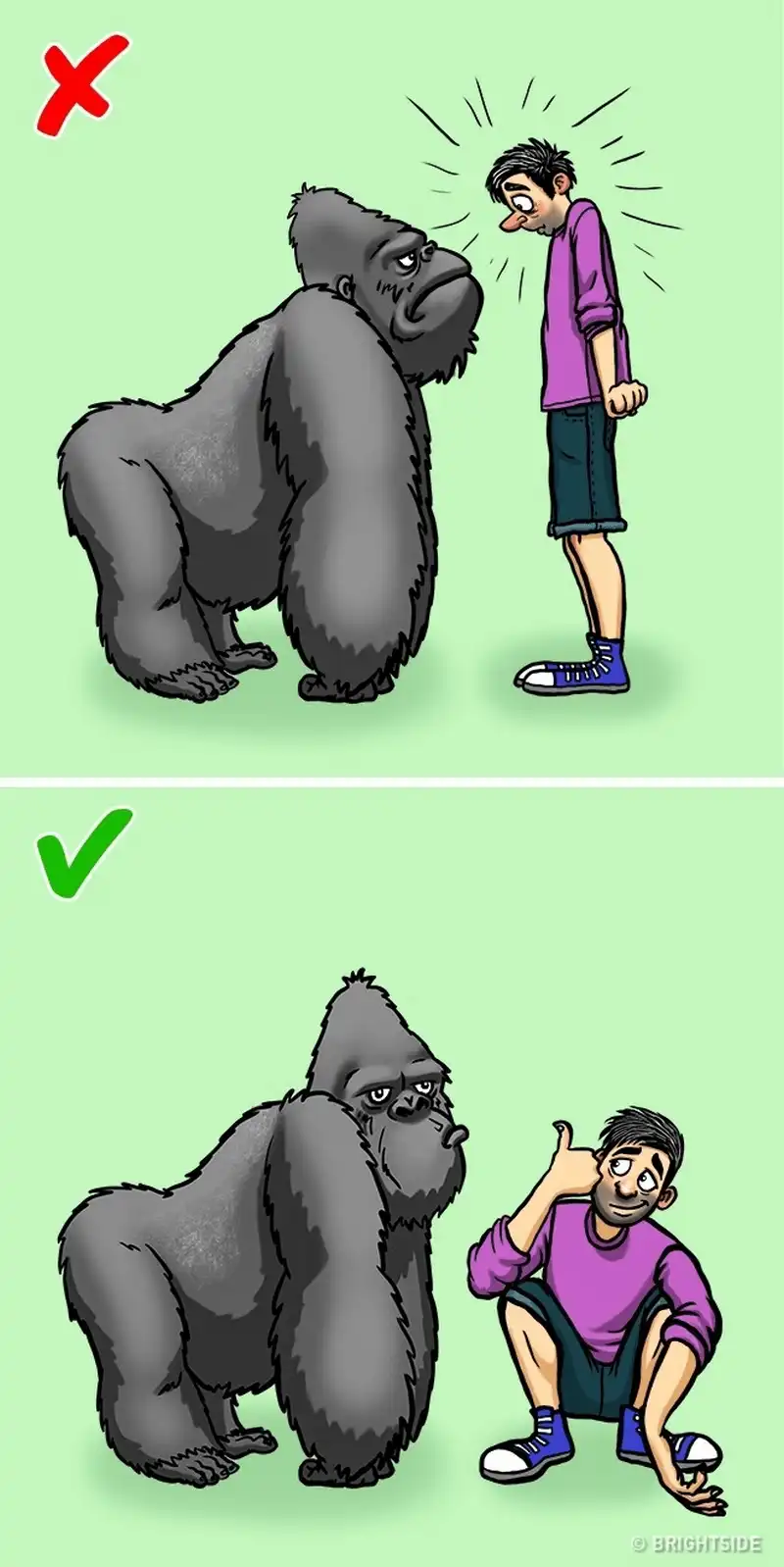 wanderlust tips 12 cach giup ban song sot khi doi mat voi dong vat nguy hiem 12