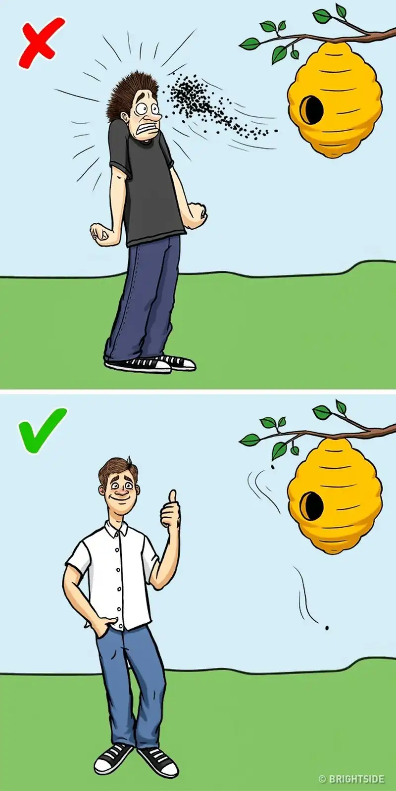 wanderlust tips 12 cach giup ban song sot khi doi mat voi dong vat nguy hiem 13