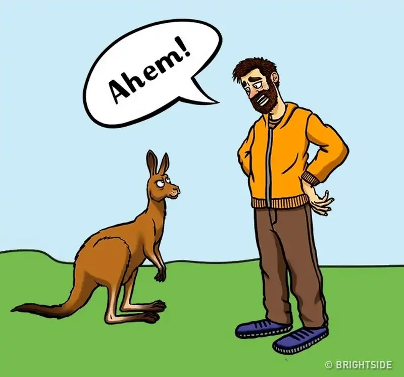 wanderlust tips 12 cach giup ban song sot khi doi mat voi dong vat nguy hiem 2