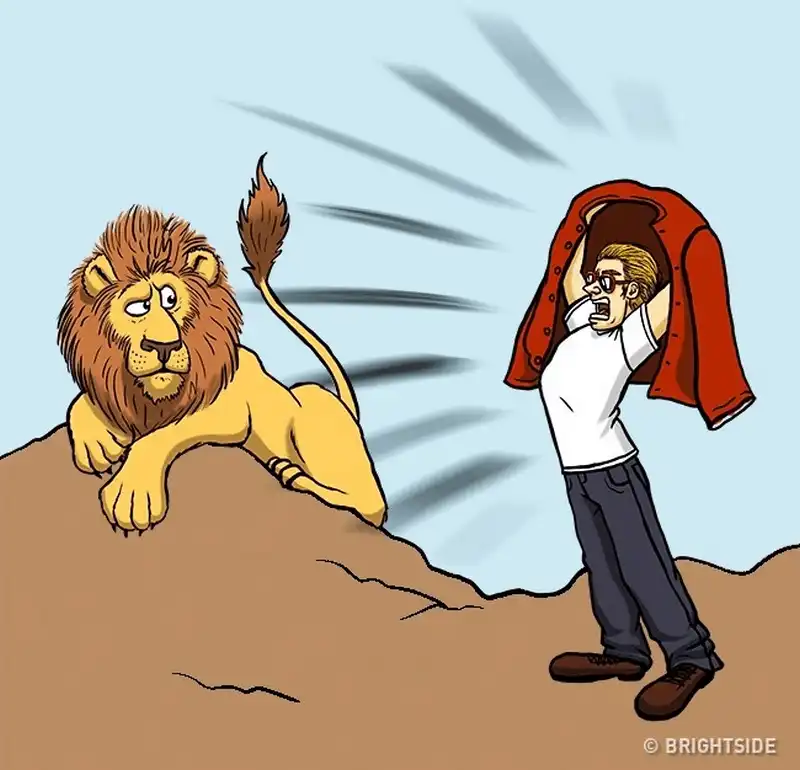 wanderlust tips 12 cach giup ban song sot khi doi mat voi dong vat nguy hiem 4