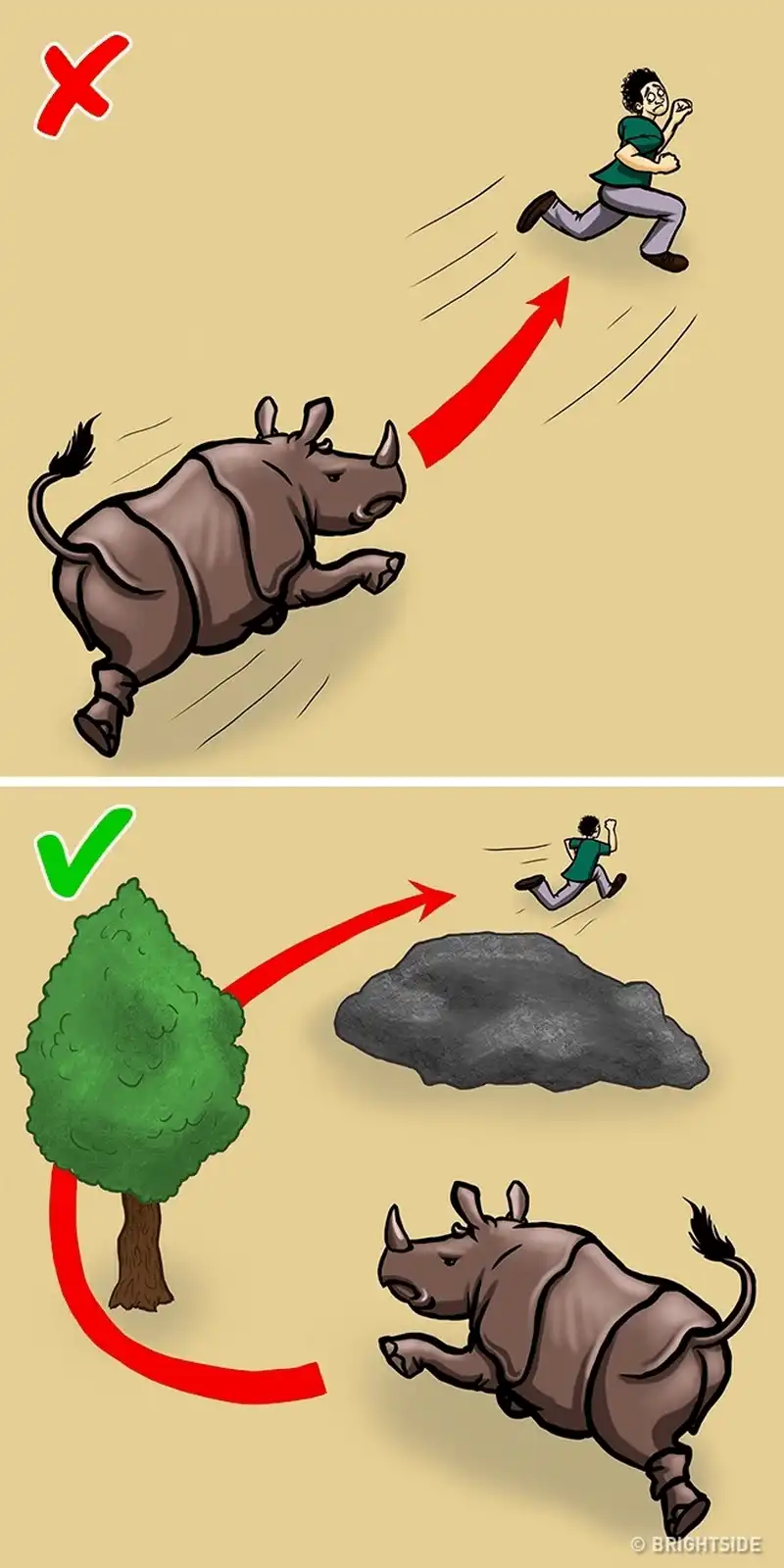 wanderlust tips 12 cach giup ban song sot khi doi mat voi dong vat nguy hiem 6