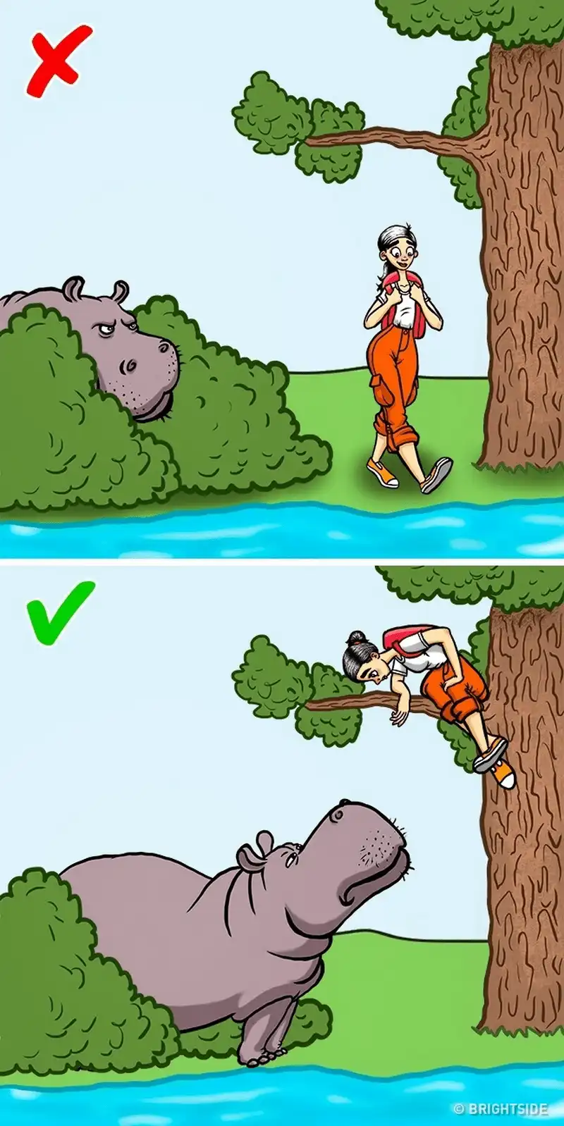 wanderlust tips 12 cach giup ban song sot khi doi mat voi dong vat nguy hiem 7