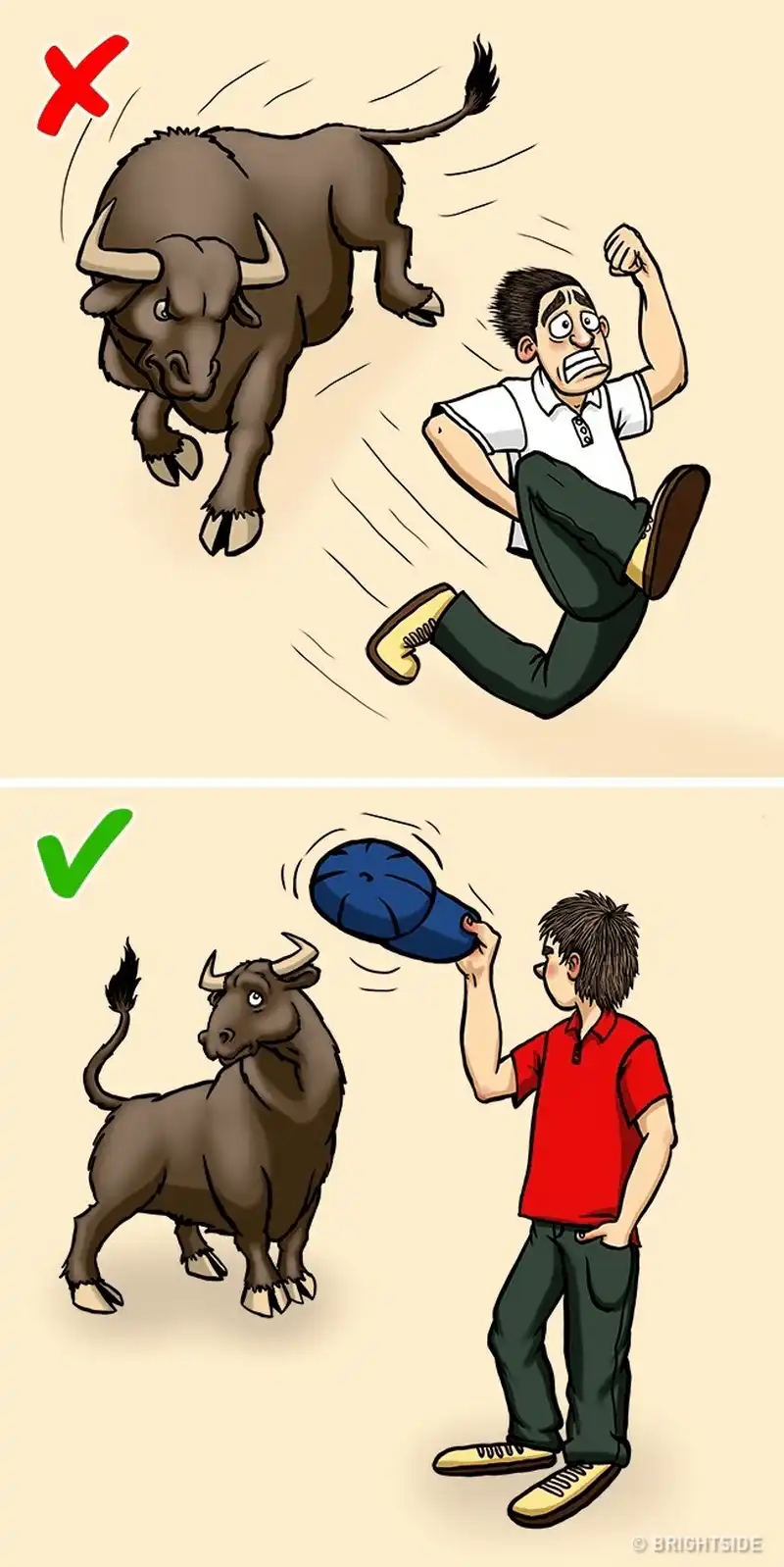 wanderlust tips 12 cach giup ban song sot khi doi mat voi dong vat nguy hiem 8