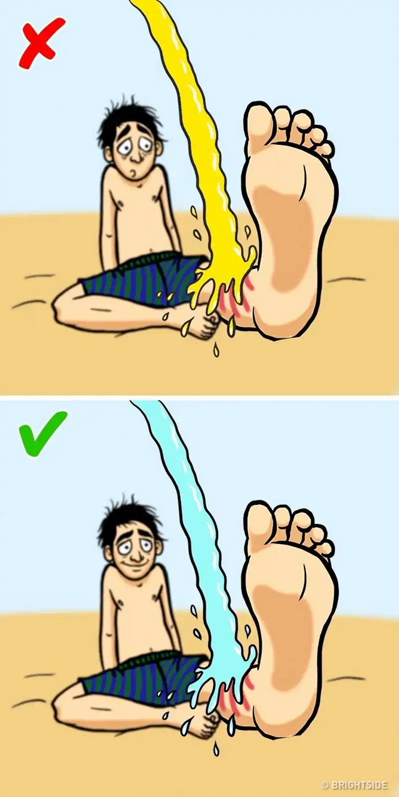 wanderlust tips 12 cach giup ban song sot khi doi mat voi dong vat nguy hiem 9