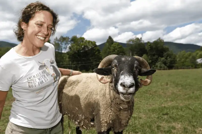 wanderlust tips 12 khach san hang sang danh cho nhung nguoi yeu dong vat 3