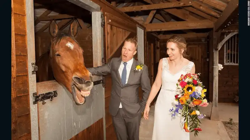 wanderlust tips 12 khach san hang sang danh cho nhung nguoi yeu dong vat 4